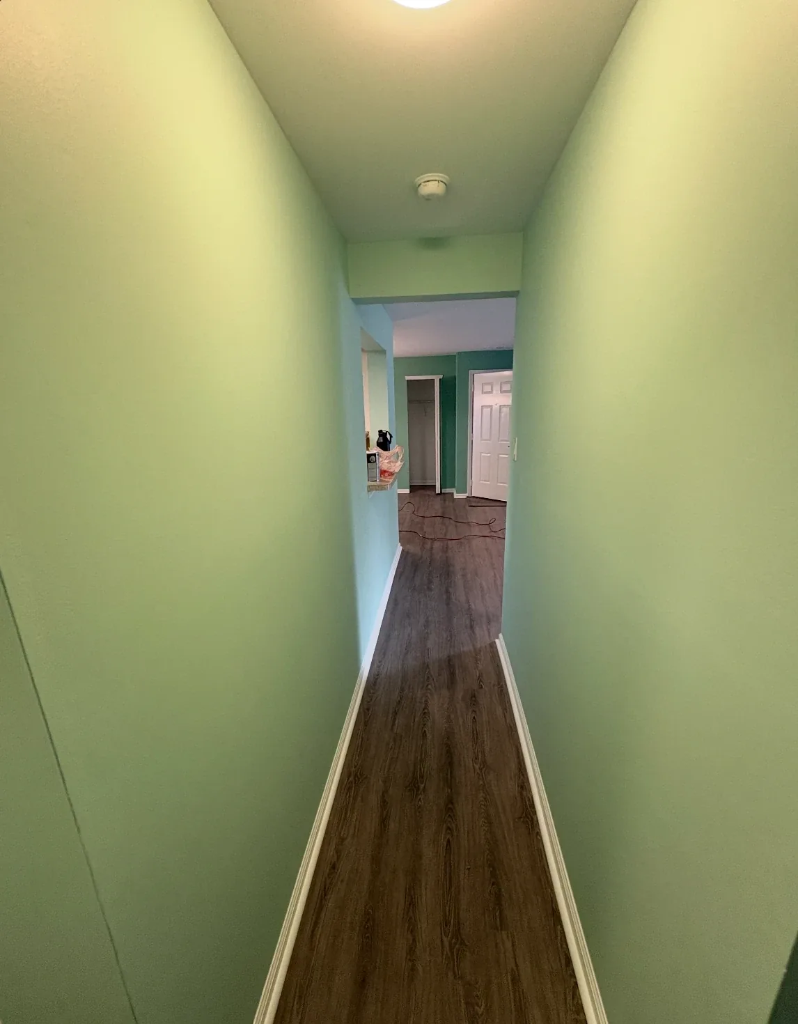 Hallway painted sage green with white trim and door casings
